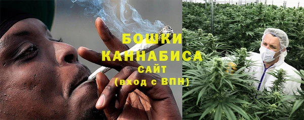ПСИЛОЦИБИНОВЫЕ ГРИБЫ Богородск