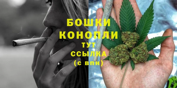 дурь Богородицк